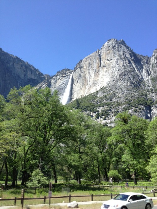 gluestick101:  Yosemite National Park 5.19.13