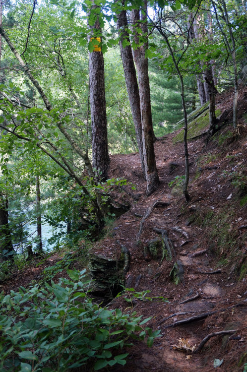 Rising Path by Buford Blue