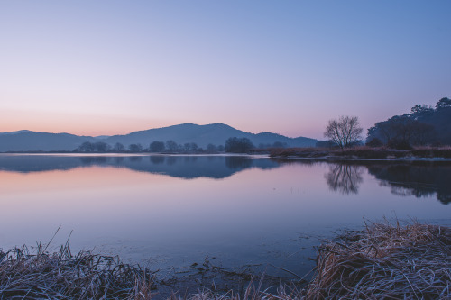 2013-12-22Instagram  |  hwantastic79vividUpo wetland, Republic of Korea Nikon D4 + AF-S NIKKOR 24-70