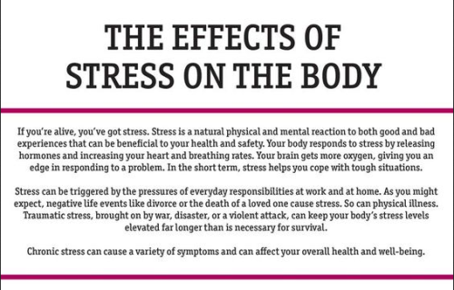 buddhaprayerbeads: Why you should relief stress - the effects of stress on the body Follow back