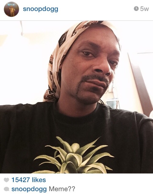 foxmulder:starshipspirk:  anustartpop:  snoop dog trying to become a meme has become a meme  Another pic for meme?