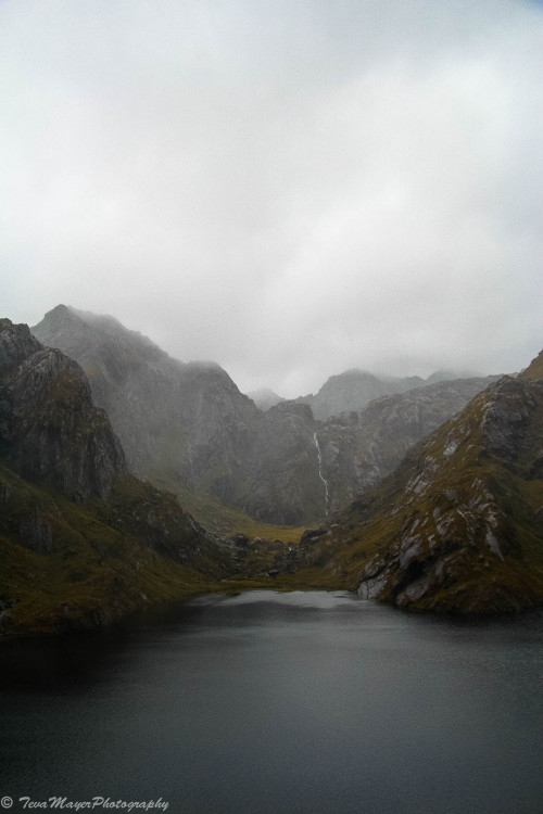 Harris Saddle StudyRouteburn Great Walk, New Zealand