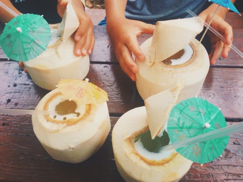 danikabay:Coconuts from Te Mana’s !