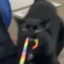 legendarypancho