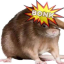 adenssimpp