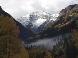 gojeep:  On the road to Yankee Boy Basin above Ouray Colorado !!!   Frickn awesome