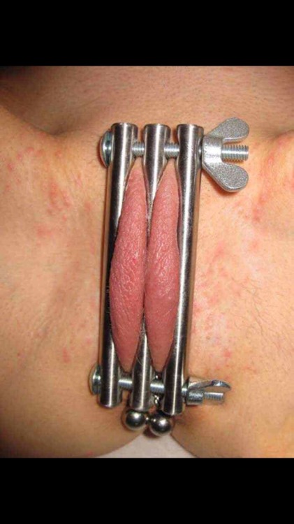 Sex mistressandherknight:  Made a pussy lip clamp pictures