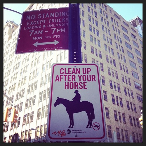equestrian etiquette, NYC