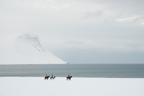 Westfjords, Iceland