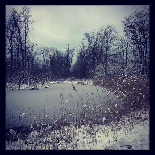 #landscapephotography #snowscape #michigan #sawyermichigan #snow #winterlandscapehttps://www.insta