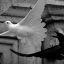 the-aviary-and-insectarium-epic