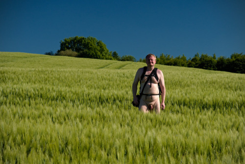 naturistsmile: On the other side of path was another field with beautifully colored rye. I am happy 