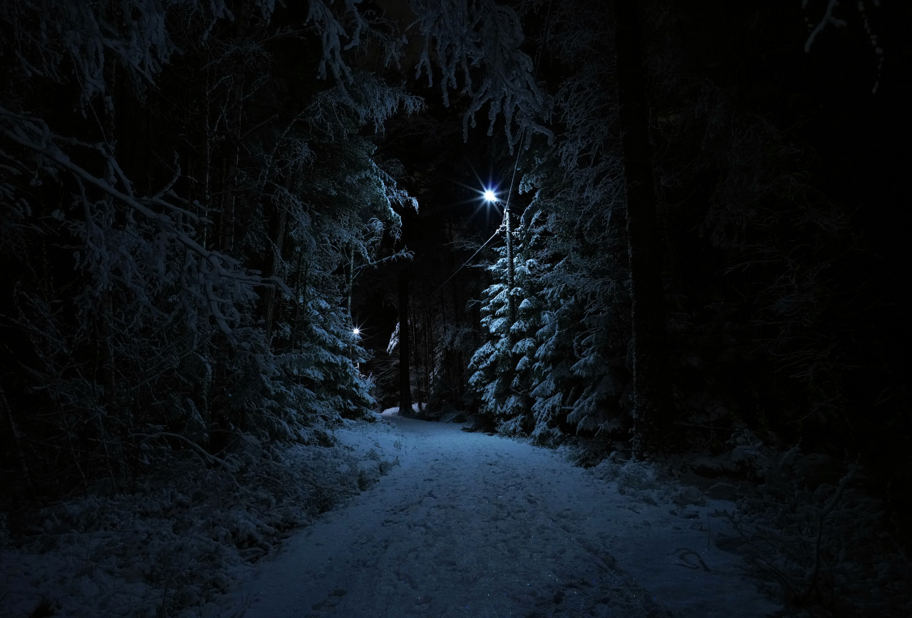 Cold and dark. «Ночь в лесу». Зима ночь. Снег ночью. Снежный лес ночью.