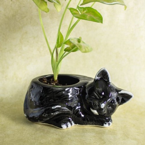 Black Cat planter //blueroompottery