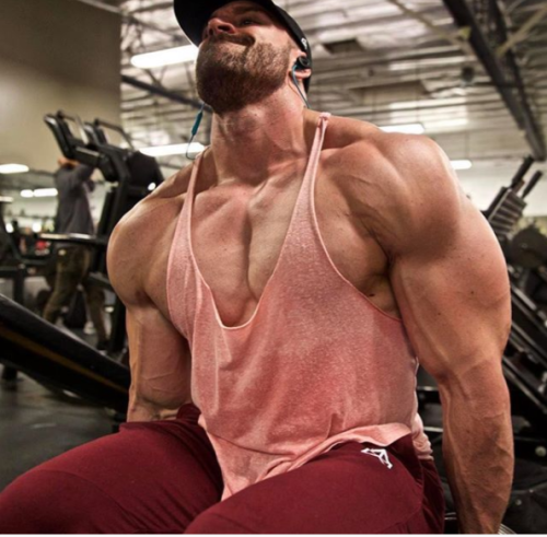 dafyddbach:    Bradley Martyn for 5300 followers.  For more muscle hunkery follow @dafyddbach
