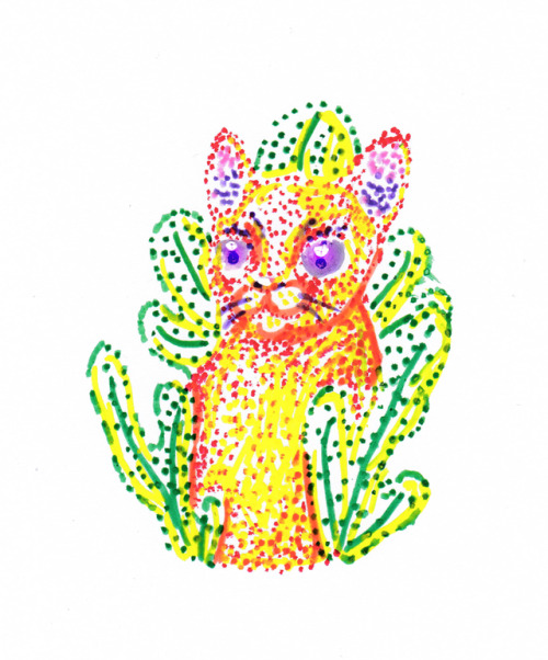 caturdaydrawings:Wild. Daily Cat Drawing #160