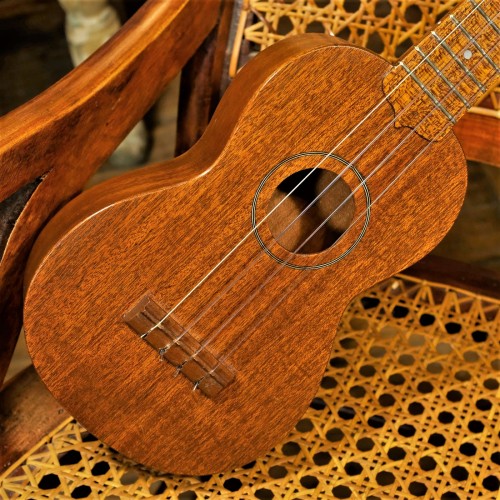 1950′s GRETSCH MAHOGANY SOPRANO UKULELEfrom: https://jakewildwood.blogspot.com/2018/11/1950s-gretsch