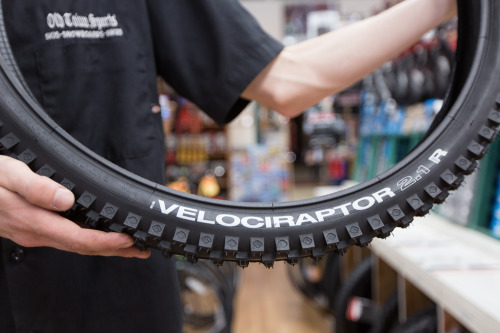 oldtownsports:  WTB VELOCIRAPTORMore WTB Velociraptor tires in stock. These were some of the first m