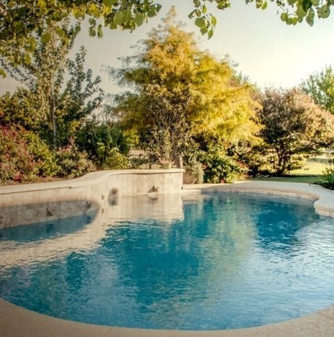Natural - Traditional Pool