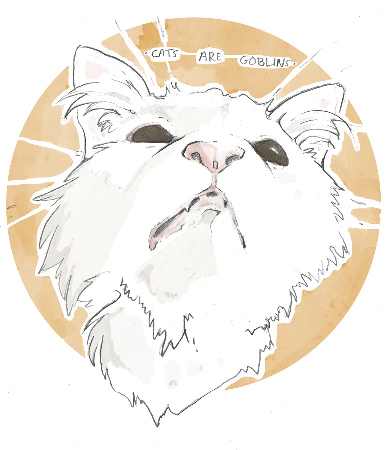 Thurston Waffles Tumblr Posts Tumbral Com Thurston Waffles Tumblr Posts Tumbral Com