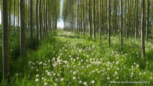 discovergreatbritain:Awesome photographs from around BritainWe partnered with the Landscape Photographer of the Year awards; take a look at some of the best images from last year’s competition. See them here 