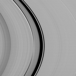kenobi-wan-obi:  The Synchronicity of Rhythms     A dynamical interplay between Saturn’s largest moon, Titan, and its rings is captured in this view from NASA’s Cassini spacecraft.      At every location within Saturn’s rings, particles orbit with