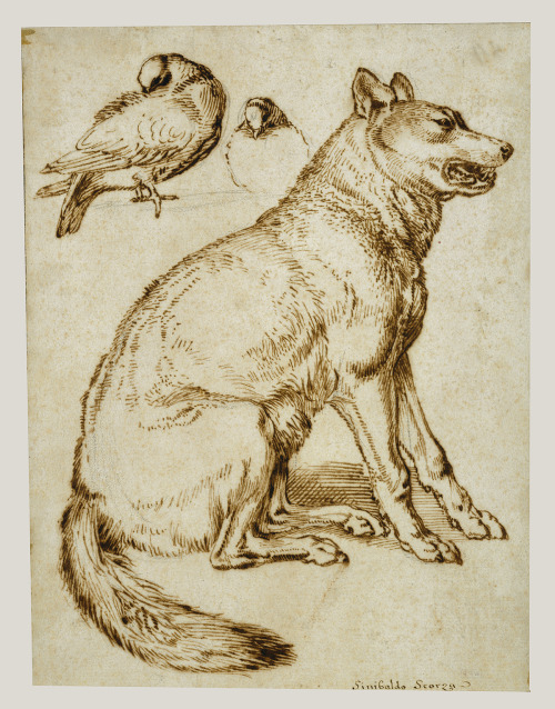 Peaceful doves contrast with a snarling wolf in this ink drawing from the early 1600s. A Wolf and Tw