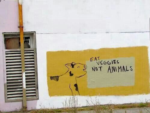 Let’s eat veggies, not animals :)