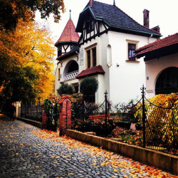 dailyautumn:  #Rzeszów #Rzeszow #Poland