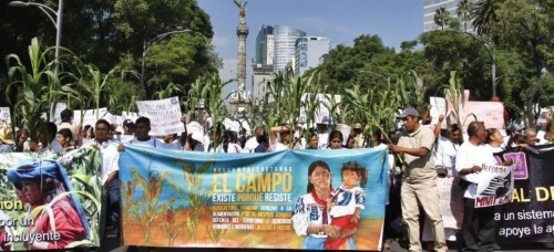 Sex thinkmexican:  Mexico’s Campesinos March pictures