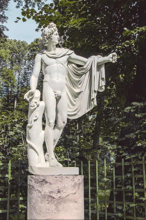 Apollo Belvedere in the Summer Garden, St Petersburg, Russia