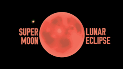 huffingtonpost:  Rare Supermoon-Lunar Eclipse