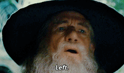 vanhoytls:  lotr meme: ten scenes → [1/10] “the depature of the fellowship”
