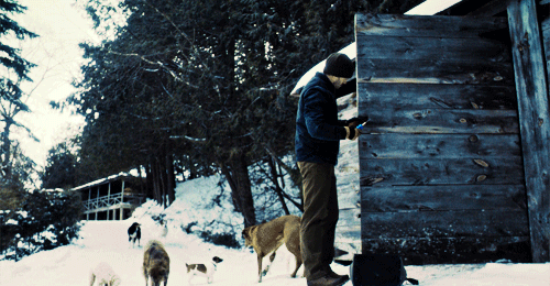 livingthegifs:  Hannigram AU: ↳ Post-Fall: A new dog. By: thejennire   Check the Tags!!! [x]