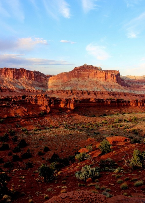 fourcornersguy: Sunset Point VistaCapitol Reef National Park, Utah