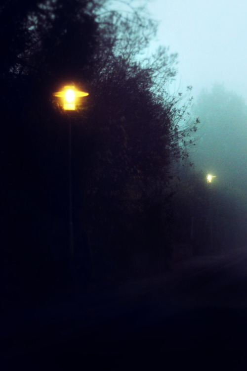 Rain Light&lt;Landscape veiled in fog. Nostalgic dreams. Diffused light. Unknown existence.&gt; 