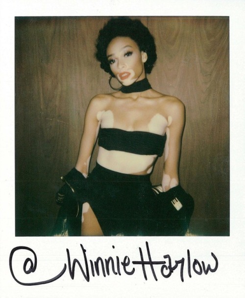 chantelle winnie