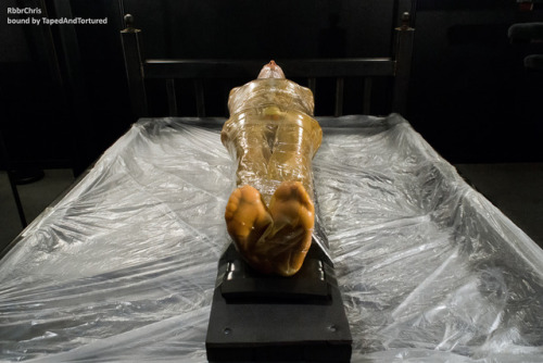 tapedandtortured: Stuffed into a latex sack filled with piss and lube, then bound tightly to a plank.  #RbbrChris 