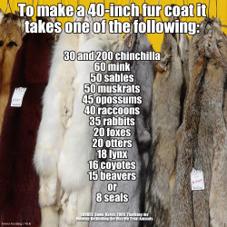 carnism-is:If you’re willing to rob up to 200 individuals of their entire existence for a shitty fashion statement, fuck you*. *This does not include indigenous populations or poor people who are wearing fur out of desperation for survival.