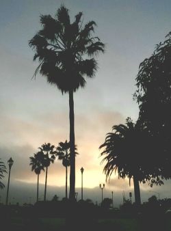 joserr96:  Sunset || Oxnard, CA