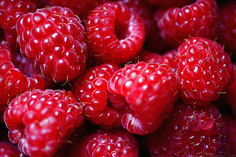 Porn Pics get-fit-4-life:  Yummm and healthy raspberries!