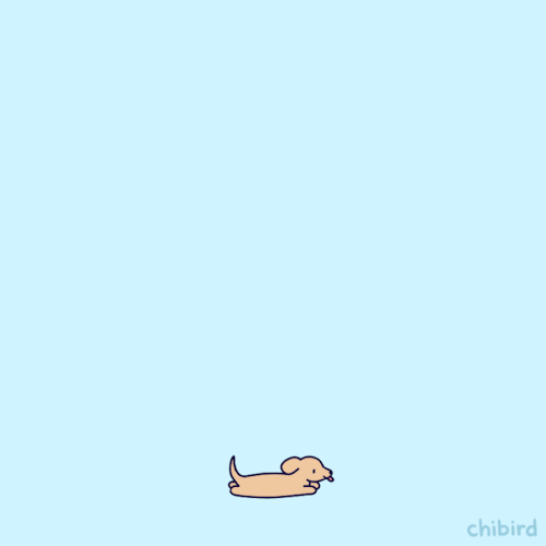 chibird:  Motivational dachshund on a trampoline to start off your month! It’s rooting for you!!!  Chibird store | Positive pin club | Webtoon  