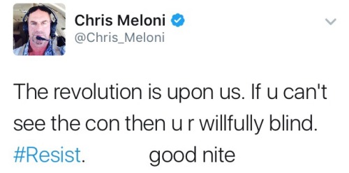 famousblueraincoatbyleonardcohen: chris meloni out here about to kill every neo nazi with his bare h
