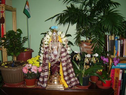 Vishnu in my house, in my small hanging garden :)