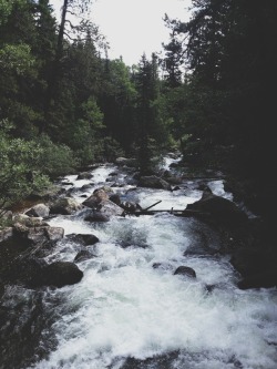 captivesouls:  Nature