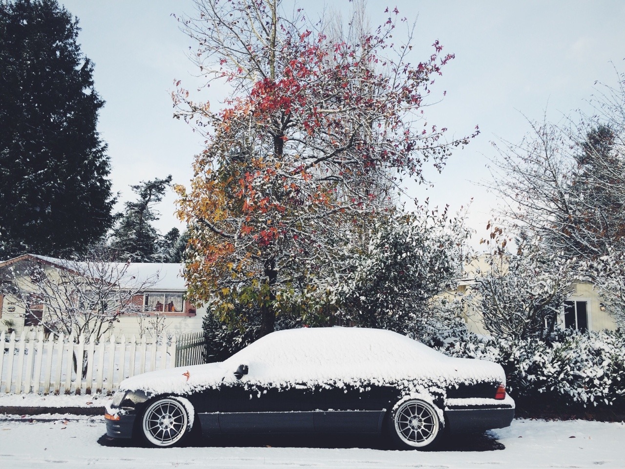 yourboytiggy:  It’s been real. But time to detail you and make a real add.