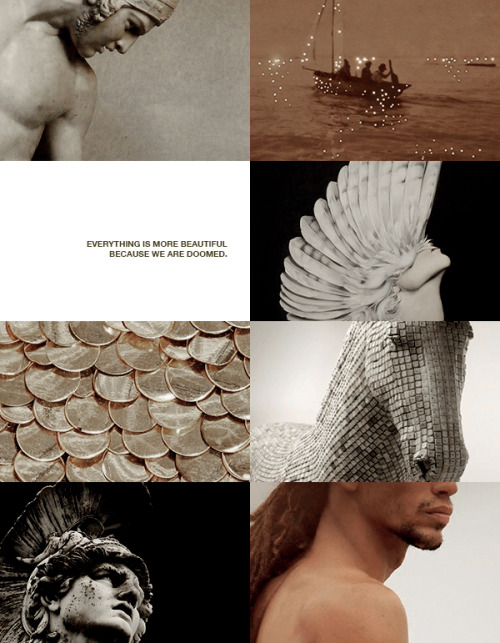 crooked-queen:we will never be here again.endless list of favorite books &gt; the iliad by homer