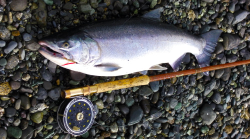 Old Pflueger Medalist reel (back when they were made in the USA) and old fiberglass Fenwick fly rod.