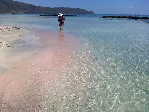 sixpenceee:  Elafonisi Beach located in Crete, adult photos