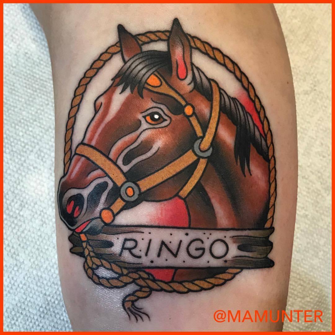  — Had a great time doing this horse named Ringo on...